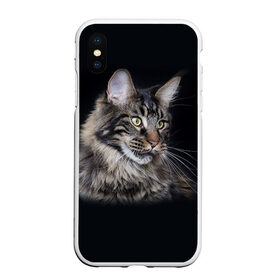 Чехол для iPhone XS Max матовый с принтом Мейн-кун 5 в Тюмени, Силикон | Область печати: задняя сторона чехла, без боковых панелей | кот | котенок | котик | котэ | кошка | мейн кун | мейнкун | мэйн кун | мэйнкун