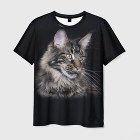 Мужская футболка 3D с принтом Мейн-кун 5 в Тюмени, 100% полиэфир | прямой крой, круглый вырез горловины, длина до линии бедер | Тематика изображения на принте: кот | котенок | котик | котэ | кошка | мейн кун | мейнкун | мэйн кун | мэйнкун