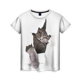 Женская футболка 3D с принтом Британец 4 в Тюмени, 100% полиэфир ( синтетическое хлопкоподобное полотно) | прямой крой, круглый вырез горловины, длина до линии бедер | Тематика изображения на принте: британец | британская | британцы | кот | котенок | котик | котэ | кошка