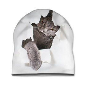 Шапка 3D с принтом Британец 4 в Тюмени, 100% полиэстер | универсальный размер, печать по всей поверхности изделия | Тематика изображения на принте: британец | британская | британцы | кот | котенок | котик | котэ | кошка