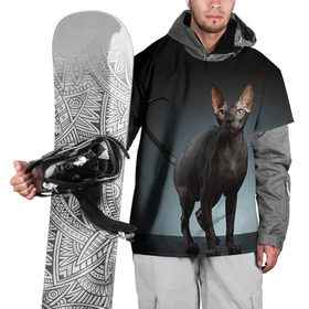 Накидка на куртку 3D с принтом Сфинкс 7 в Тюмени, 100% полиэстер |  | Тематика изображения на принте: кот | котенок | котик | котэ | кошка | сфинкс