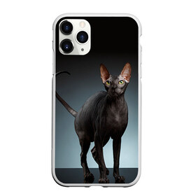 Чехол для iPhone 11 Pro матовый с принтом Сфинкс 7 в Тюмени, Силикон |  | кот | котенок | котик | котэ | кошка | сфинкс