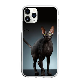 Чехол для iPhone 11 Pro Max матовый с принтом Сфинкс 7 в Тюмени, Силикон |  | кот | котенок | котик | котэ | кошка | сфинкс