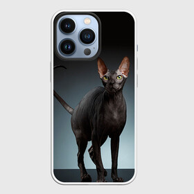Чехол для iPhone 13 Pro с принтом Сфинкс 7 в Тюмени,  |  | Тематика изображения на принте: кот | котенок | котик | котэ | кошка | сфинкс