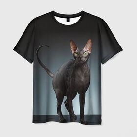 Мужская футболка 3D с принтом Сфинкс 7 в Тюмени, 100% полиэфир | прямой крой, круглый вырез горловины, длина до линии бедер | кот | котенок | котик | котэ | кошка | сфинкс