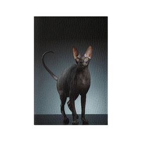 Обложка для паспорта матовая кожа с принтом Сфинкс 7 в Тюмени, натуральная матовая кожа | размер 19,3 х 13,7 см; прозрачные пластиковые крепления | кот | котенок | котик | котэ | кошка | сфинкс