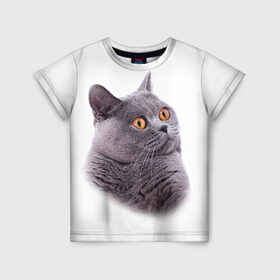 Детская футболка 3D с принтом Британец 5 в Тюмени, 100% гипоаллергенный полиэфир | прямой крой, круглый вырез горловины, длина до линии бедер, чуть спущенное плечо, ткань немного тянется | британец | британская | британцы | кот | котенок | котик | котэ | кошка
