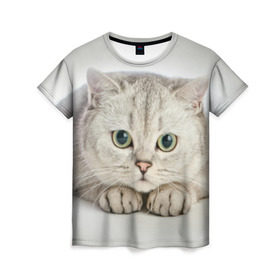 Женская футболка 3D с принтом Британец 6 в Тюмени, 100% полиэфир ( синтетическое хлопкоподобное полотно) | прямой крой, круглый вырез горловины, длина до линии бедер | британец | британская | британцы | кот | котенок | котик | котэ | кошка