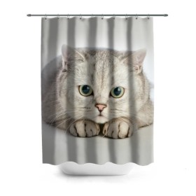 Штора 3D для ванной с принтом Британец 6 в Тюмени, 100% полиэстер | плотность материала — 100 г/м2. Стандартный размер — 146 см х 180 см. По верхнему краю — пластиковые люверсы для креплений. В комплекте 10 пластиковых колец | британец | британская | британцы | кот | котенок | котик | котэ | кошка