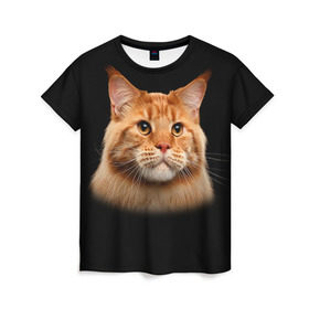 Женская футболка 3D с принтом Мейн-кун 6 в Тюмени, 100% полиэфир ( синтетическое хлопкоподобное полотно) | прямой крой, круглый вырез горловины, длина до линии бедер | кот | котенок | котик | котэ | кошка | мейн кун | мейнкун | мэйн кун | мэйнкун