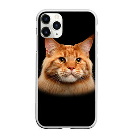 Чехол для iPhone 11 Pro матовый с принтом Мейн-кун 6 в Тюмени, Силикон |  | кот | котенок | котик | котэ | кошка | мейн кун | мейнкун | мэйн кун | мэйнкун