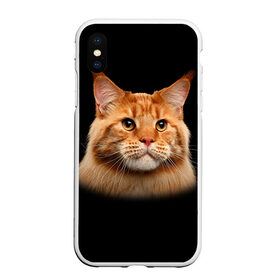 Чехол для iPhone XS Max матовый с принтом Мейн-кун 6 в Тюмени, Силикон | Область печати: задняя сторона чехла, без боковых панелей | кот | котенок | котик | котэ | кошка | мейн кун | мейнкун | мэйн кун | мэйнкун