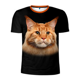 Мужская футболка 3D спортивная с принтом Мейн-кун 6 в Тюмени, 100% полиэстер с улучшенными характеристиками | приталенный силуэт, круглая горловина, широкие плечи, сужается к линии бедра | кот | котенок | котик | котэ | кошка | мейн кун | мейнкун | мэйн кун | мэйнкун