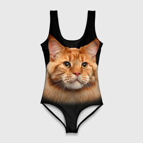 Купальник-боди 3D с принтом Мейн-кун 6 в Тюмени, 82% полиэстер, 18% эластан | Круглая горловина, круглый вырез на спине | кот | котенок | котик | котэ | кошка | мейн кун | мейнкун | мэйн кун | мэйнкун