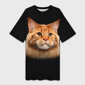 Платье-футболка 3D с принтом Мейн кун 6 в Тюмени,  |  | кот | котенок | котик | котэ | кошка | мейн кун | мейнкун | мэйн кун | мэйнкун