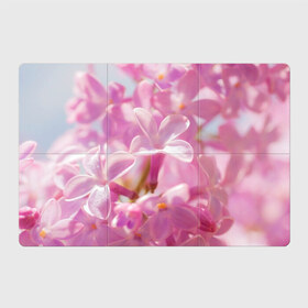 Магнитный плакат 3Х2 с принтом Душистая сирень в Тюмени, Полимерный материал с магнитным слоем | 6 деталей размером 9*9 см | Тематика изображения на принте: лепестки | прикольные картинки | сирень | цветение | цветочки | цветы