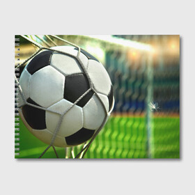 Альбом для рисования с принтом Футбол в Тюмени, 100% бумага
 | матовая бумага, плотность 200 мг. | ворота | мяч | сетка