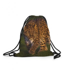 Рюкзак-мешок 3D с принтом Дальневосточный леопард в Тюмени, 100% полиэстер | плотность ткани — 200 г/м2, размер — 35 х 45 см; лямки — толстые шнурки, застежка на шнуровке, без карманов и подкладки | дикая кошка | леопард | природа | хищник