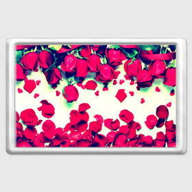 Магнит 45*70 с принтом Розовые розы в Тюмени, Пластик | Размер: 78*52 мм; Размер печати: 70*45 | лепестки | цветы