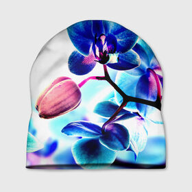 Шапка 3D с принтом Орхидея в Тюмени, 100% полиэстер | универсальный размер, печать по всей поверхности изделия | Тематика изображения на принте: лютики | синий | цветы