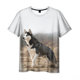 Мужская футболка 3D с принтом Хаски в Тюмени, 100% полиэфир | прямой крой, круглый вырез горловины, длина до линии бедер | dog | husky | siberia | север | сибирь | собака | хаски