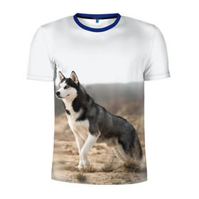 Мужская футболка 3D спортивная с принтом Хаски в Тюмени, 100% полиэстер с улучшенными характеристиками | приталенный силуэт, круглая горловина, широкие плечи, сужается к линии бедра | dog | husky | siberia | север | сибирь | собака | хаски