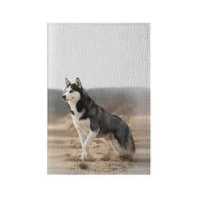 Обложка для паспорта матовая кожа с принтом Хаски в Тюмени, натуральная матовая кожа | размер 19,3 х 13,7 см; прозрачные пластиковые крепления | Тематика изображения на принте: dog | husky | siberia | север | сибирь | собака | хаски