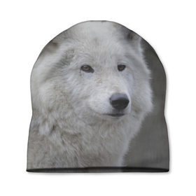 Шапка 3D с принтом Белый волк в Тюмени, 100% полиэстер | универсальный размер, печать по всей поверхности изделия | 