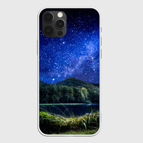 Чехол для iPhone 12 Pro с принтом Дикая природа в Тюмени, силикон | область печати: задняя сторона чехла, без боковых панелей | горы | деревья | море | пейзаж