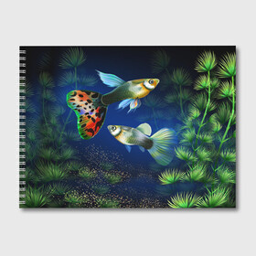 Альбом для рисования с принтом Аквариумные рыбки в Тюмени, 100% бумага
 | матовая бумага, плотность 200 мг. | аквариум | вода | водоросли | природа | рыба | рыбка | туризм