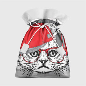 Подарочный 3D мешок с принтом Стильный Котик в Тюмени, 100% полиэстер | Размер: 29*39 см | Тематика изображения на принте: 