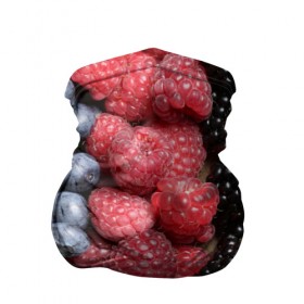 Бандана-труба 3D с принтом Сочные ягоды в Тюмени, 100% полиэстер, ткань с особыми свойствами — Activecool | плотность 150‒180 г/м2; хорошо тянется, но сохраняет форму | богатый урожай | брусника | ерга | земляника | клубника | клюква | малина | морожка | облепиха | рябина | смородина | сок | сочные плоды | фрукты | черника | черноплодка | шиповник | ягоды