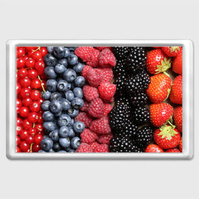 Магнит 45*70 с принтом Сочные ягоды в Тюмени, Пластик | Размер: 78*52 мм; Размер печати: 70*45 | богатый урожай | брусника | ерга | земляника | клубника | клюква | малина | морожка | облепиха | рябина | смородина | сок | сочные плоды | фрукты | черника | черноплодка | шиповник | ягоды