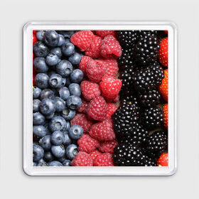 Магнит 55*55 с принтом Сочные ягоды в Тюмени, Пластик | Размер: 65*65 мм; Размер печати: 55*55 мм | богатый урожай | брусника | ерга | земляника | клубника | клюква | малина | морожка | облепиха | рябина | смородина | сок | сочные плоды | фрукты | черника | черноплодка | шиповник | ягоды