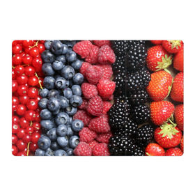 Магнитный плакат 3Х2 с принтом Сочные ягоды в Тюмени, Полимерный материал с магнитным слоем | 6 деталей размером 9*9 см | богатый урожай | брусника | ерга | земляника | клубника | клюква | малина | морожка | облепиха | рябина | смородина | сок | сочные плоды | фрукты | черника | черноплодка | шиповник | ягоды