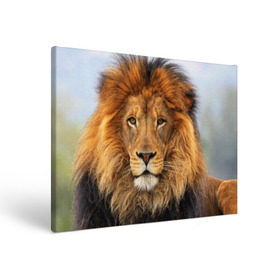Холст прямоугольный с принтом Красавец лев в Тюмени, 100% ПВХ |  | Тематика изображения на принте: lion | грива | дикая кошка | добыча | животное | зверь | клыки | когти | король джунглей | лев | мясо | хищник | царь зверей