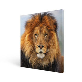 Холст квадратный с принтом Красавец лев в Тюмени, 100% ПВХ |  | Тематика изображения на принте: lion | грива | дикая кошка | добыча | животное | зверь | клыки | когти | король джунглей | лев | мясо | хищник | царь зверей