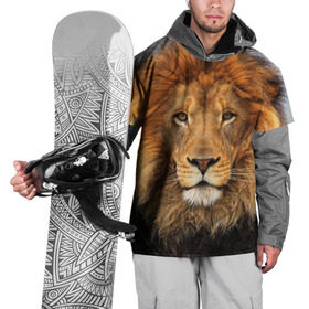 Накидка на куртку 3D с принтом Красавец лев в Тюмени, 100% полиэстер |  | lion | грива | дикая кошка | добыча | животное | зверь | клыки | когти | король джунглей | лев | мясо | хищник | царь зверей
