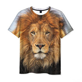 Мужская футболка 3D с принтом Красавец лев в Тюмени, 100% полиэфир | прямой крой, круглый вырез горловины, длина до линии бедер | lion | грива | дикая кошка | добыча | животное | зверь | клыки | когти | король джунглей | лев | мясо | хищник | царь зверей