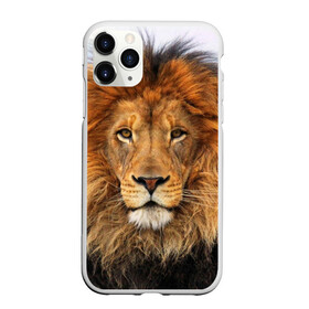 Чехол для iPhone 11 Pro матовый с принтом Красавец лев в Тюмени, Силикон |  | Тематика изображения на принте: lion | грива | дикая кошка | добыча | животное | зверь | клыки | когти | король джунглей | лев | мясо | хищник | царь зверей