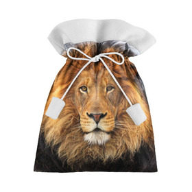 Подарочный 3D мешок с принтом Красавец лев в Тюмени, 100% полиэстер | Размер: 29*39 см | Тематика изображения на принте: lion | грива | дикая кошка | добыча | животное | зверь | клыки | когти | король джунглей | лев | мясо | хищник | царь зверей