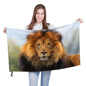 Флаг 3D с принтом Красавец лев в Тюмени, 100% полиэстер | плотность ткани — 95 г/м2, размер — 67 х 109 см. Принт наносится с одной стороны | lion | грива | дикая кошка | добыча | животное | зверь | клыки | когти | король джунглей | лев | мясо | хищник | царь зверей