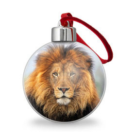 Ёлочный шар с принтом Красавец лев в Тюмени, Пластик | Диаметр: 77 мм | lion | грива | дикая кошка | добыча | животное | зверь | клыки | когти | король джунглей | лев | мясо | хищник | царь зверей