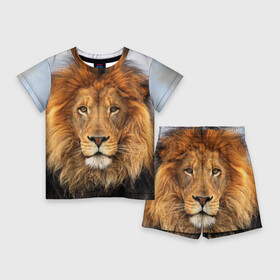 Детский костюм с шортами 3D с принтом Красавец лев в Тюмени,  |  | Тематика изображения на принте: lion | грива | дикая кошка | добыча | животное | зверь | клыки | когти | король джунглей | лев | мясо | хищник | царь зверей