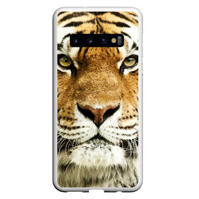 Чехол для Samsung Galaxy S10 с принтом Амурский тигр в Тюмени, Силикон | Область печати: задняя сторона чехла, без боковых панелей | амурский | дикая кошка | добыча | животное | зверь | клыки | когти | мясо | тигр | уссурийский | хищник