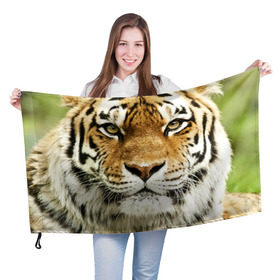 Флаг 3D с принтом Амурский тигр в Тюмени, 100% полиэстер | плотность ткани — 95 г/м2, размер — 67 х 109 см. Принт наносится с одной стороны | амурский | дикая кошка | добыча | животное | зверь | клыки | когти | мясо | тигр | уссурийский | хищник