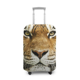Чехол для чемодана 3D с принтом Амурский тигр в Тюмени, 86% полиэфир, 14% спандекс | двустороннее нанесение принта, прорези для ручек и колес | амурский | дикая кошка | добыча | животное | зверь | клыки | когти | мясо | тигр | уссурийский | хищник