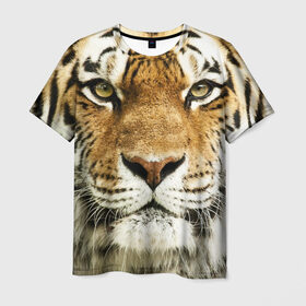 Мужская футболка 3D с принтом Амурский тигр в Тюмени, 100% полиэфир | прямой крой, круглый вырез горловины, длина до линии бедер | амурский | дикая кошка | добыча | животное | зверь | клыки | когти | мясо | тигр | уссурийский | хищник