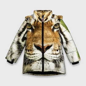 Зимняя куртка для девочек 3D с принтом Амурский тигр в Тюмени, ткань верха — 100% полиэстер; подклад — 100% полиэстер, утеплитель — 100% полиэстер. | длина ниже бедра, удлиненная спинка, воротник стойка и отстегивающийся капюшон. Есть боковые карманы с листочкой на кнопках, утяжки по низу изделия и внутренний карман на молнии. 

Предусмотрены светоотражающий принт на спинке, радужный светоотражающий элемент на пуллере молнии и на резинке для утяжки. | амурский | дикая кошка | добыча | животное | зверь | клыки | когти | мясо | тигр | уссурийский | хищник