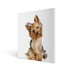 Холст квадратный с принтом Красотка в Тюмени, 100% ПВХ |  | Тематика изображения на принте: fashion | животное | красавица | лучший друг | модница | няша | причёска | собака | собачка | щенок | щеночек
